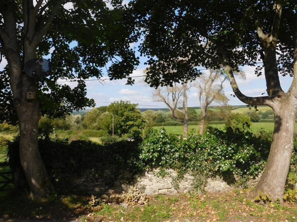 Follis Cottage Weymouth Eksteriør bilde